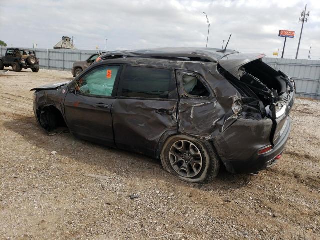 1C4PJMBN0LD539615 - 2020 JEEP CHEROKEE TRAILHAWK Boz foto 2