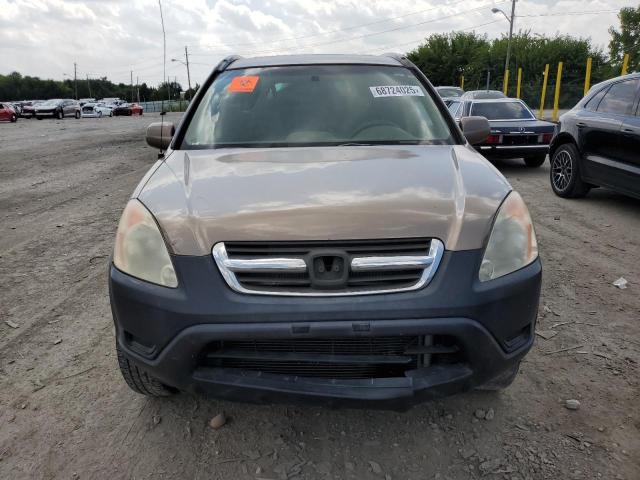 SHSRD78853U139554 - 2003 HONDA CR-V EX TAN photo 5