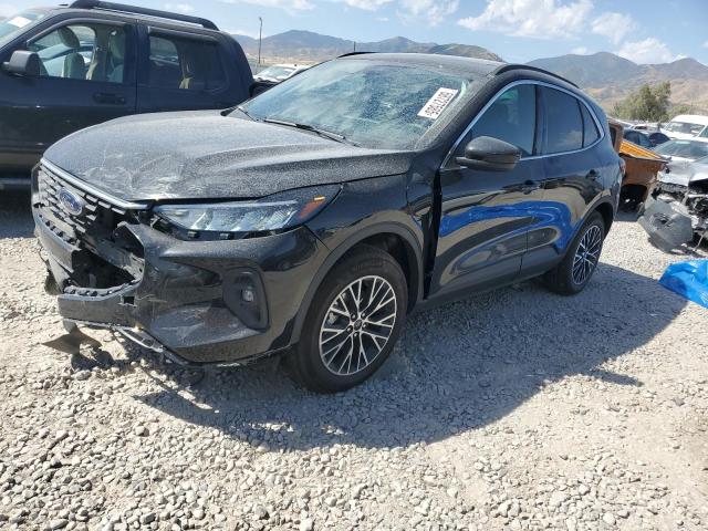 2025 FORD ESCAPE, 