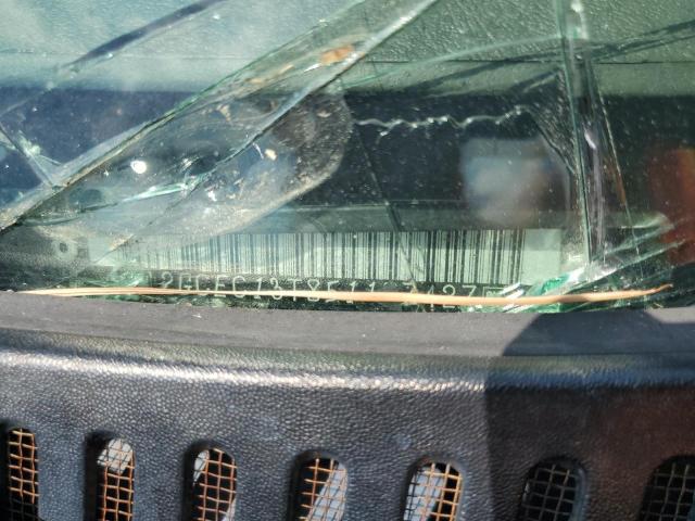 2GCEC13T851187427 - 2005 CHEVROLET SILVERADO C1500 BLUE photo 12