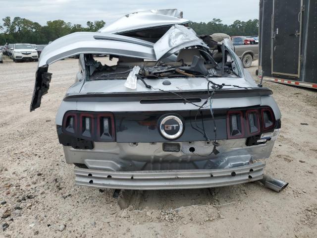 1ZVBP8CF2D5255063 - 2013 FORD MUSTANG GT SILVER photo 6