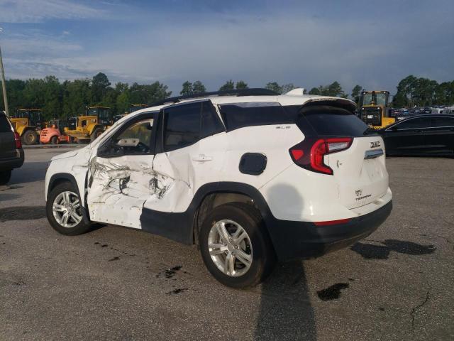 3GKALMEG0RL384343 - 2024 GMC TERRAIN SLE 白色 照片 2