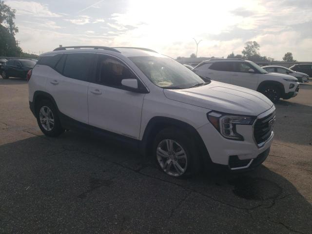 3GKALMEG0RL384343 - 2024 GMC TERRAIN SLE 白色 照片 4