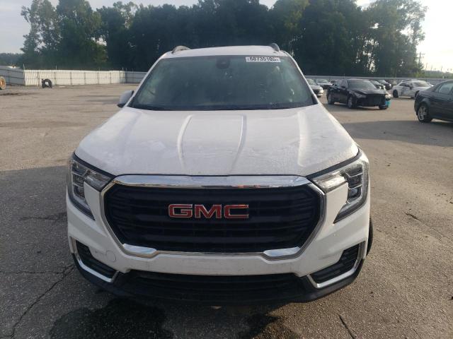 3GKALMEG0RL384343 - 2024 GMC TERRAIN SLE 白色 照片 5