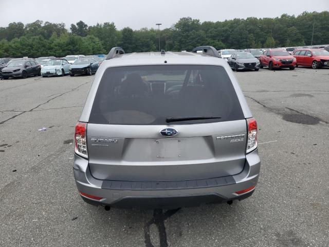 JF2SH6CC1AH902977 - 2010 SUBARU FORESTER 2.5X PREMIUM SILVER photo 6