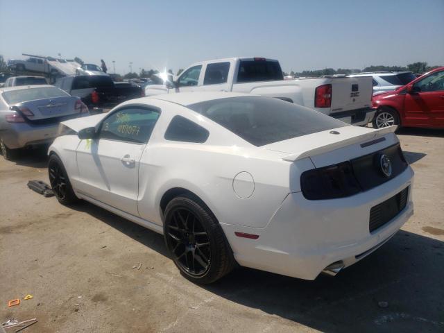 1ZVBP8AM4D5260699 - 2013 FORD MUSTANG WHITE photo 2