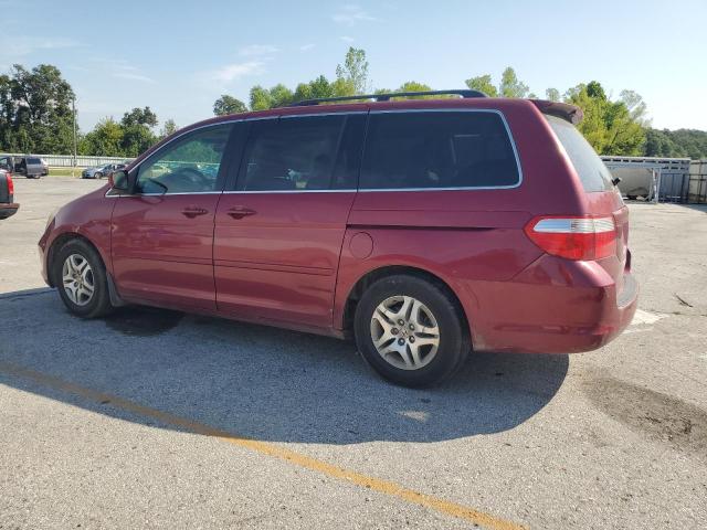 5FNRL38605B416454 - 2005 HONDA ODYSSEY EXL 红色 照片 2