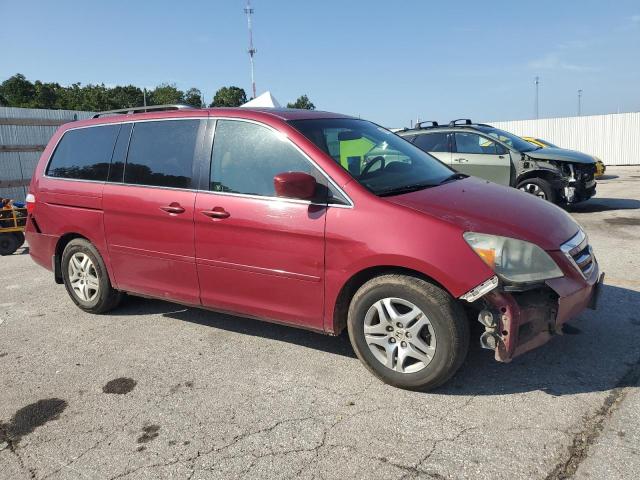 5FNRL38605B416454 - 2005 HONDA ODYSSEY EXL 红色 照片 4