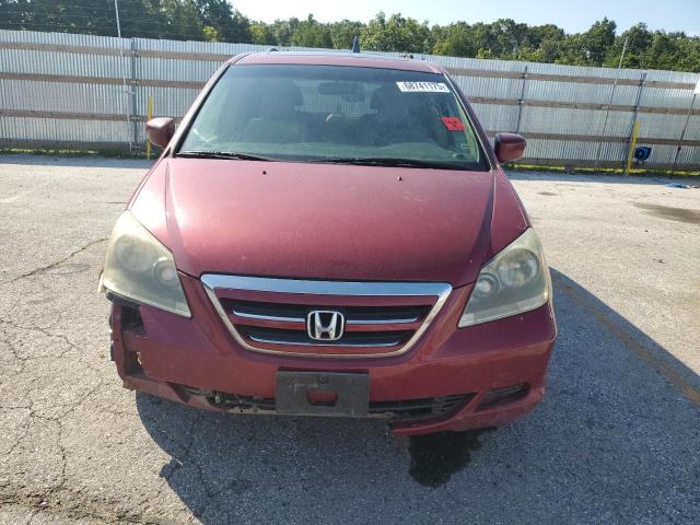 5FNRL38605B416454 - 2005 HONDA ODYSSEY EXL 红色 照片 5