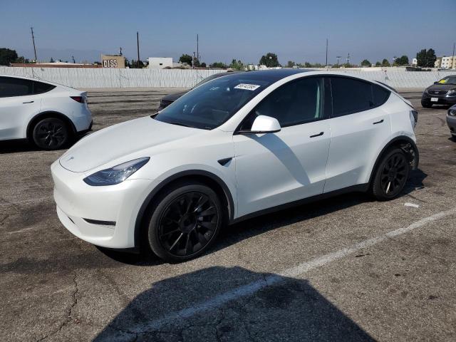 2023 TESLA MODEL Y, 