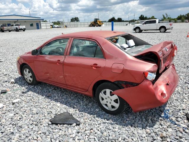1NXBU4EE6AZ257212 - 2010 TOYOTA COROLLA BASE Qırmızı foto 2