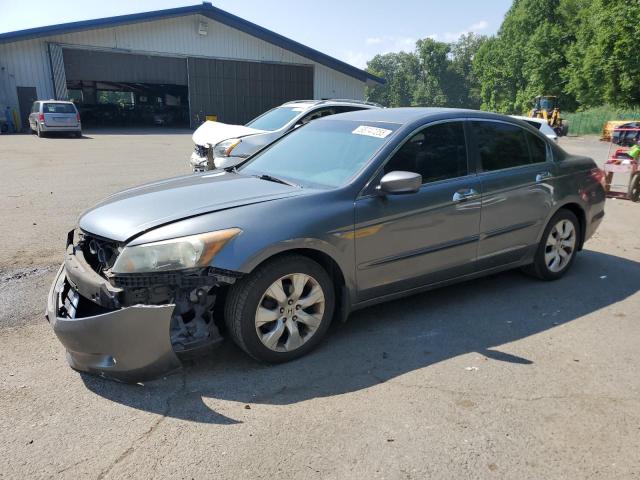 2010 HONDA ACCORD EXL, 