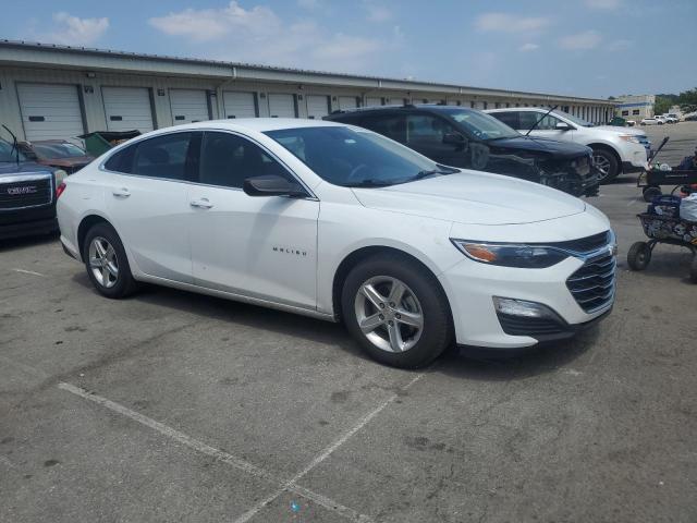 1G1ZC5ST9PF126330 - 2023 CHEVROLET MALIBU LS Blanc photo 4
