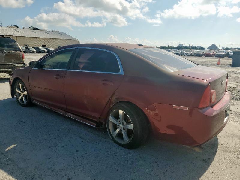1G1ZJ57B19F193304 - 2009 CHEVROLET MALIBU 2LT 勃艮第红 照片 2