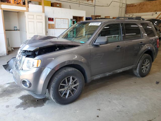 2009 FORD ESCAPE XLT, 