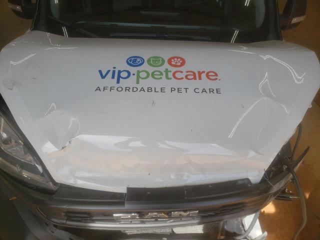 ZFBHRFAB8M6U50335 - 2021 RAM PROMASTER Երկգույն լուսանկար 12