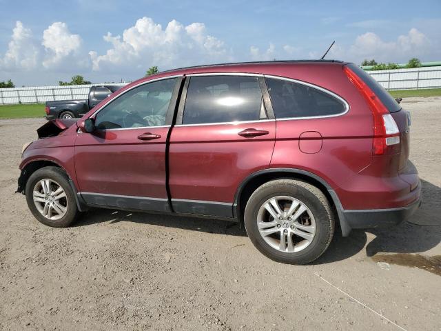 5J6RE3H78AL049887 - 2010 HONDA CR-V EXL BURGUNDY photo 2