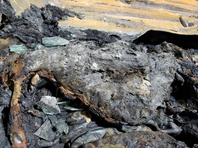 1FMCU9GD8JUB34565 - 2018 FORD ESCAPE SE Սպիտակ լուսանկար 9