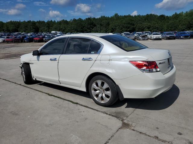 1HGCP36819A029507 - 2009 HONDA ACCORD EXL WHITE photo 2