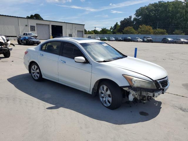 1HGCP36819A029507 - 2009 HONDA ACCORD EXL WHITE photo 4