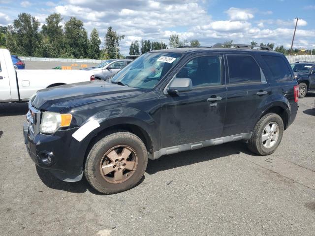 2012 FORD ESCAPE XLT, 
