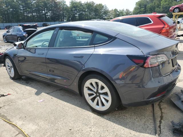 5YJ3E1EA4NF373461 - 2022 TESLA MODEL 3 GRAY photo 2