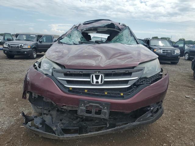 5J6RM4H74CL046996 - 2012 HONDA CR-V EXL 栗色 照片 5