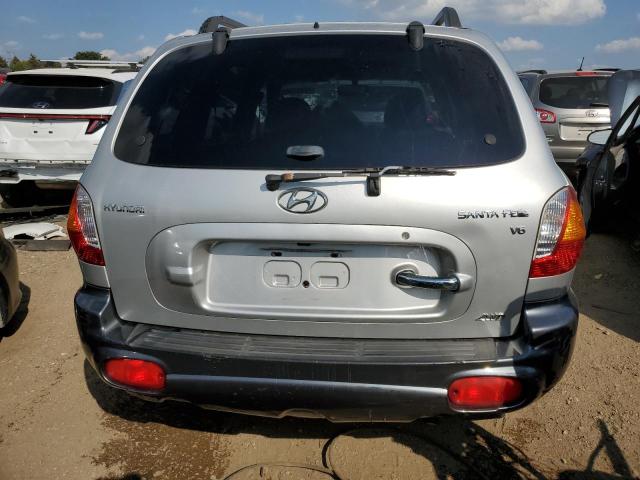 KM8SC73D13U392972 - 2003 HYUNDAI SANTA FE GLS SILVER photo 6