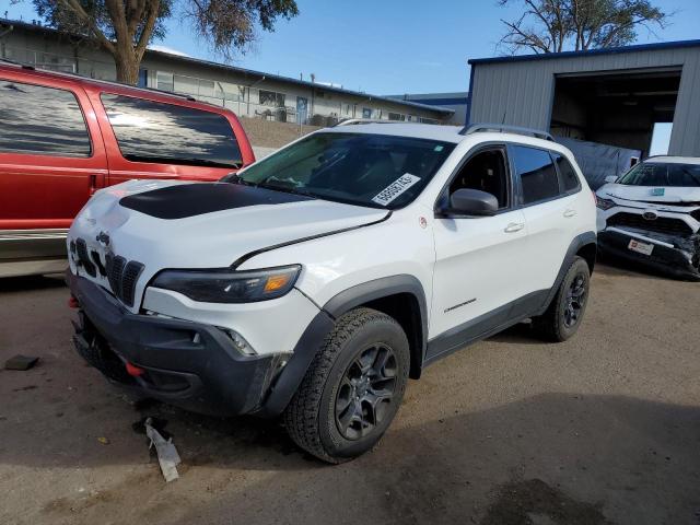 1C4PJMBX0KD106117 - 2019 JEEP CHEROKEE TRAILHAWK WHITE photo 1