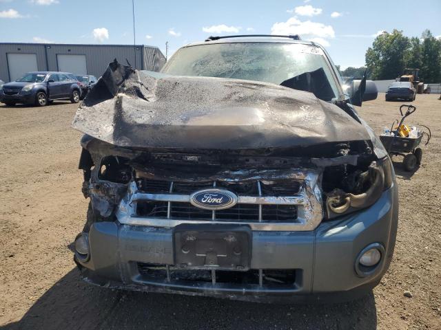 1FMCU0D78BKB17644 - 2011 FORD ESCAPE XLT TEAL photo 5