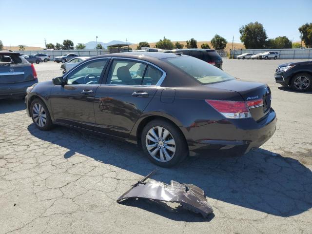 1HGCP2F86BA025212 - 2011 HONDA ACCORD EXL ყავისფერი ფოტო 2