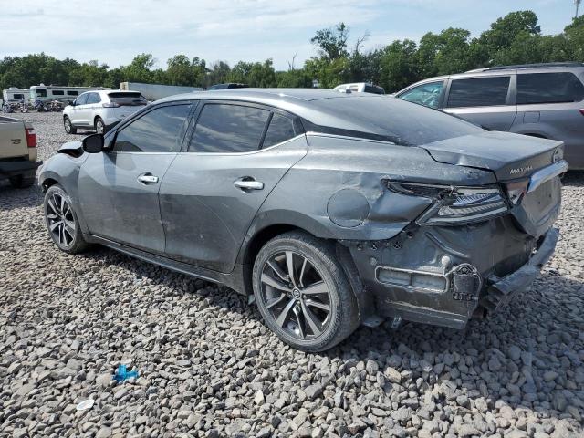 1N4AA6AV9KC365931 - 2019 NISSAN MAXIMA S Szary zdjęcie 2