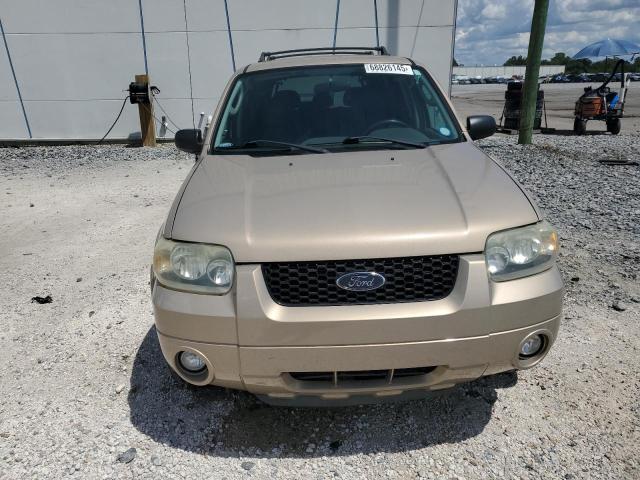 1FMCU03107KA28333 - 2007 FORD ESCAPE XLT TAN photo 5