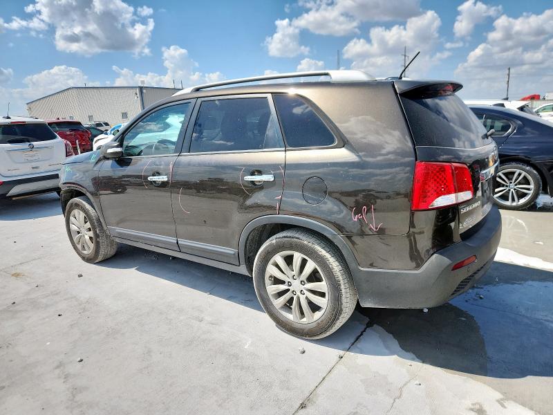 5XYKU4A19BG148866 - 2011 KIA SORENTO EX BROWN photo 2