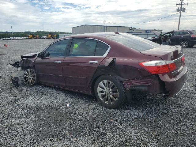 1HGCR2F83DA135132 - 2013 HONDA ACCORD EXL 栗色 照片 2