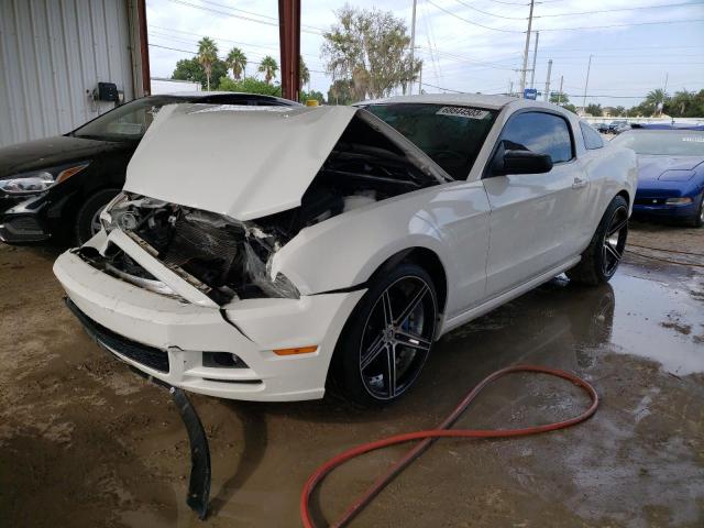 1ZVBP8AM3D5277770 - 2013 FORD MUSTANG WHITE photo 1