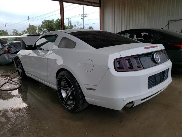 1ZVBP8AM3D5277770 - 2013 FORD MUSTANG WHITE photo 2