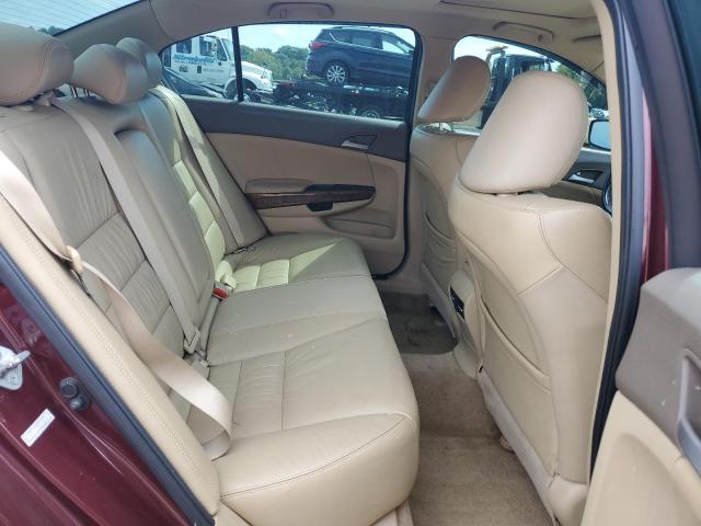 1HGCP2F85AA169025 - 2010 HONDA ACCORD EXL MAROON photo 10