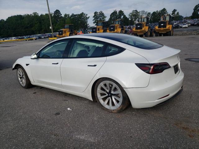 5YJ3E1EA1PF604223 - 2023 TESLA MODEL 3 Ağ foto 2