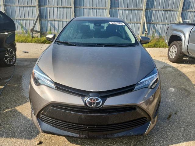 5YFBURHE0KP886038 - 2019 TOYOTA COROLLA L 棕色 照片 5