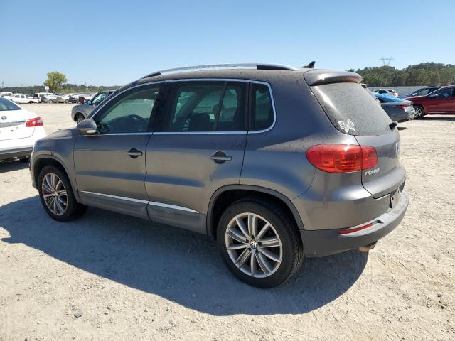 WVGAV3AX6DW620286 - 2013 VOLKSWAGEN TIGUAN S GRAY photo 2