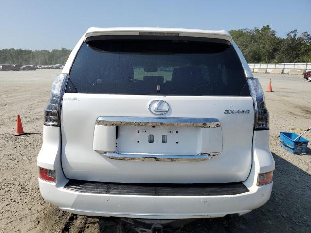 JTJBM7FX3J5208692 - 2018 LEXUS GX 460 WHITE photo 6