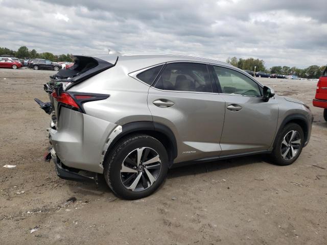 JTJBJRBZ1J2081793 - 2018 LEXUS NX 300H BEIGE photo 3