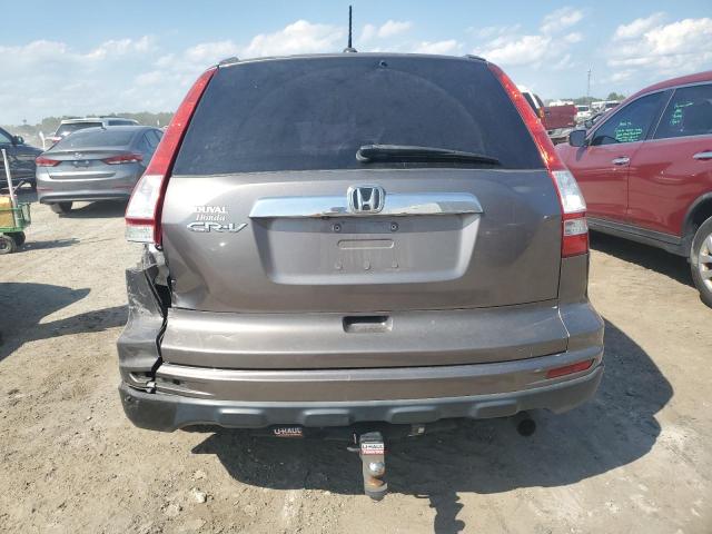 5J6RE3H79AL028420 - 2010 HONDA CR-V EXL TAN photo 6