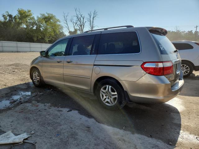 5FNRL38676B408188 - 2006 HONDA ODYSSEY EXL TAN photo 2