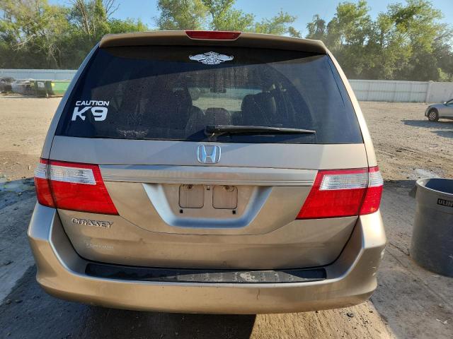 5FNRL38676B408188 - 2006 HONDA ODYSSEY EXL TAN photo 6