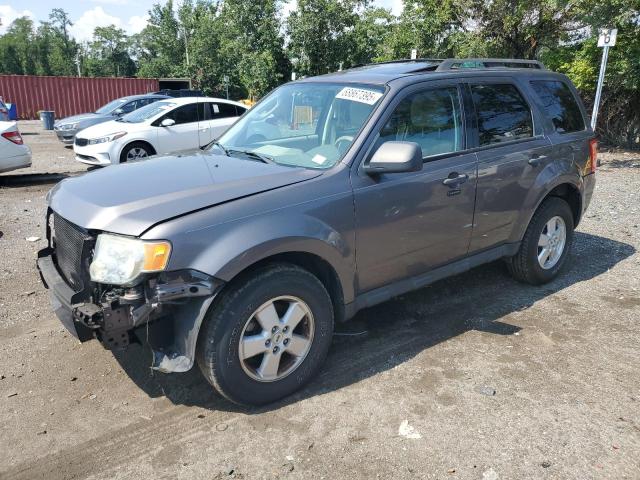 2010 FORD ESCAPE XLT, 
