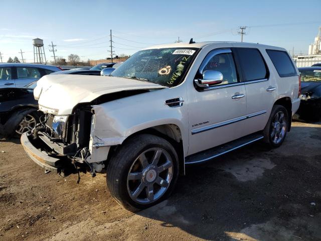 1GYUKAEF7AR140259 - 2010 CADILLAC ESCALADE WHITE photo 1