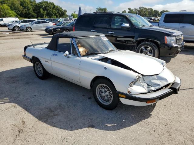 ZARBA5648K1063461 - 1989 ALFA ROMEO SPIDER GRADUATE WHITE photo 4