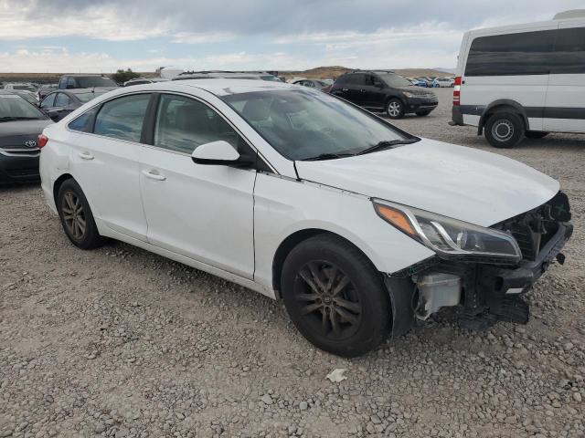 5NPE24AF9GH361217 - 2016 HYUNDAI SONATA SE WHITE photo 4